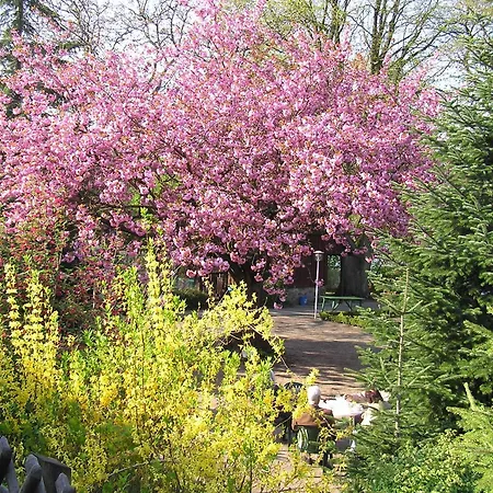 Am Gasthof Seedorf (Lauenburg)